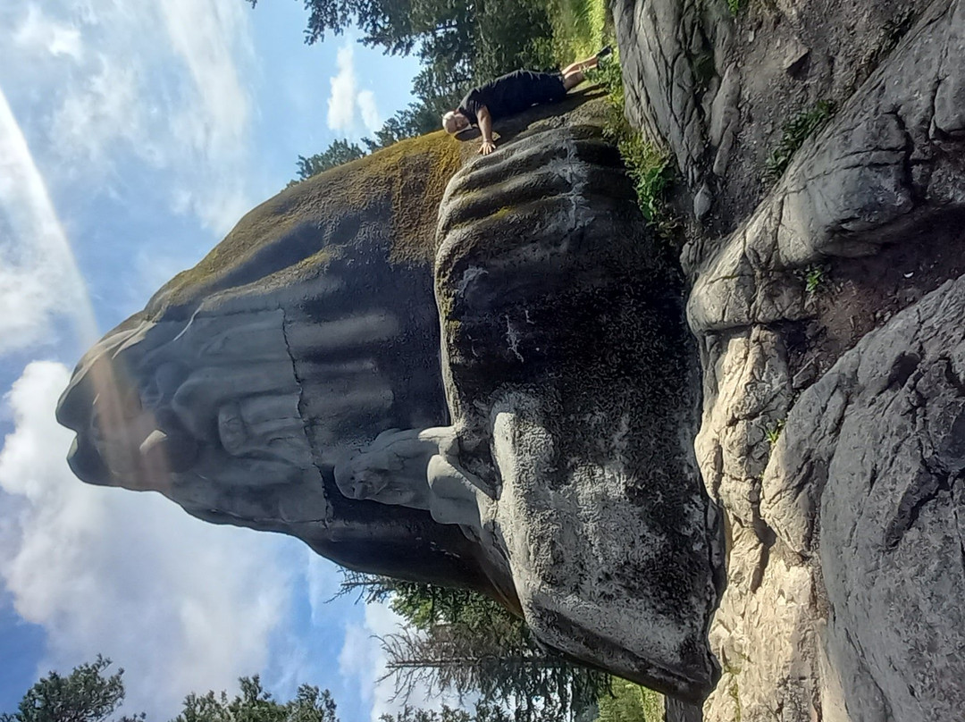 The Troll Sculpture Kollentrollet景点图片