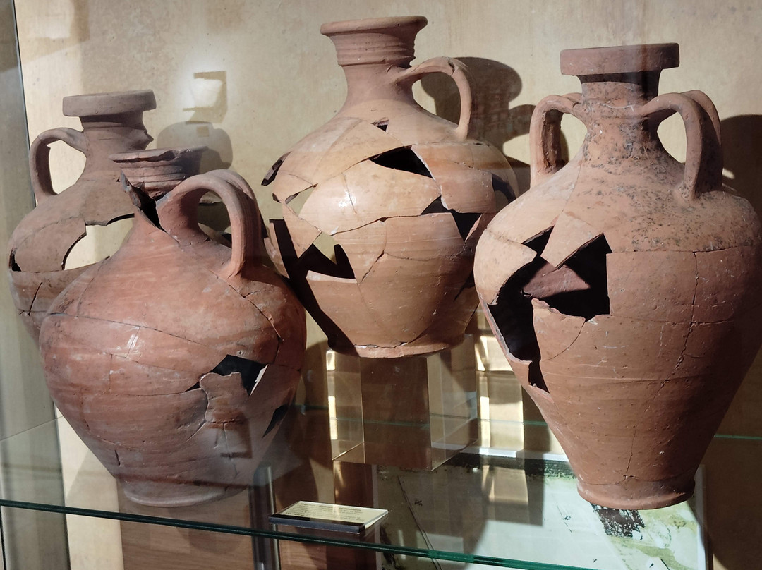 Musée et Site gallo-Romains du Fâ景点图片