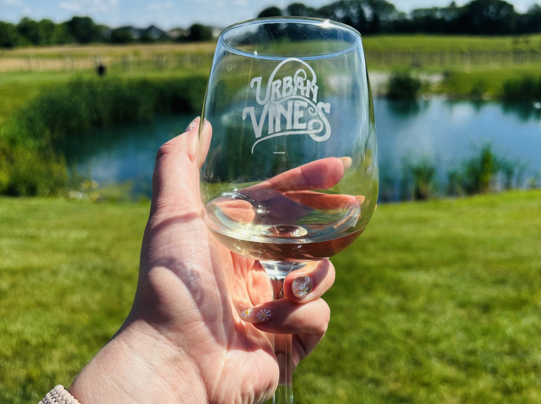 Urban Vines Winery & Brewery Co.-Westfield必去景点