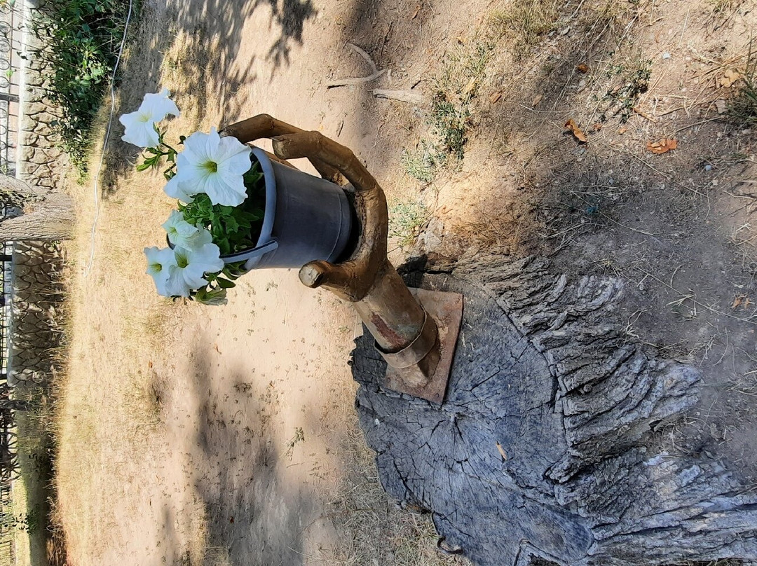 Nikolai Przhevalsky Museum-Karakol必去景点