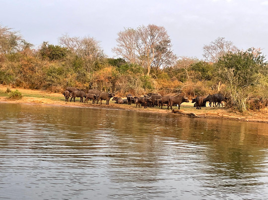 Afri Safaris-吉佳利必去景点
