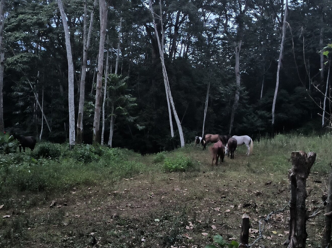 Hacienda Monte Claro主图