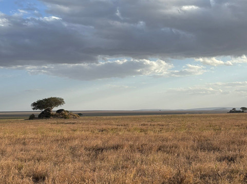 Tanzania Kanyenga-阿鲁沙必去景点