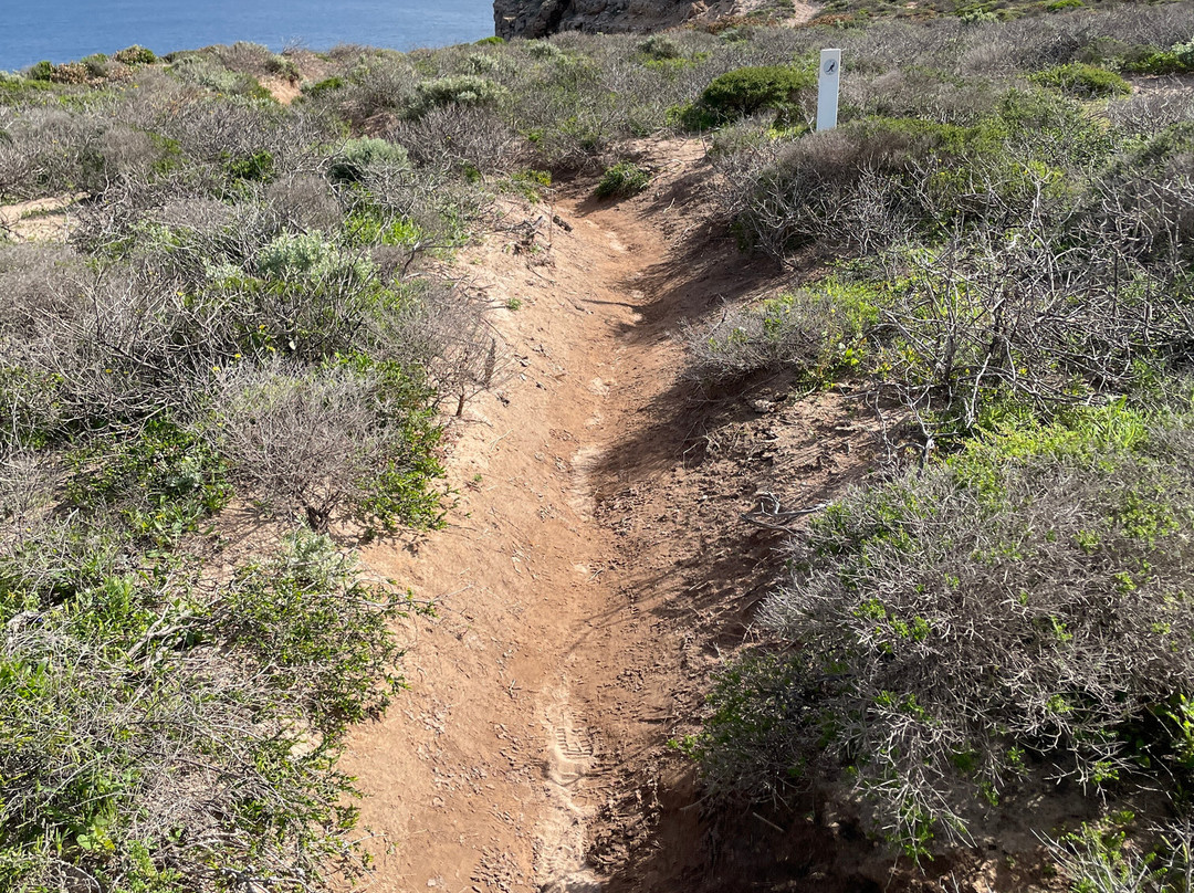 Bigurda Trail景点图片