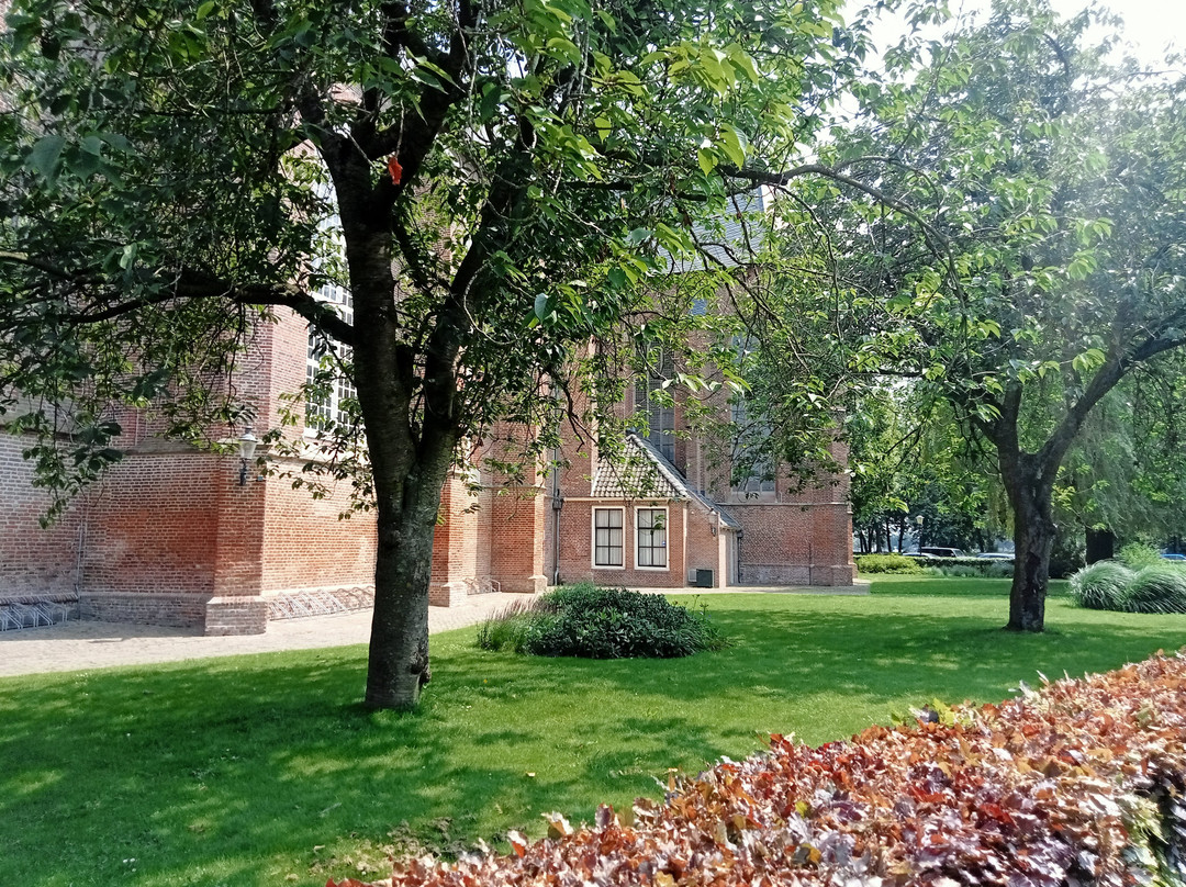 Grote of St. Nicolaaskerk景点图片