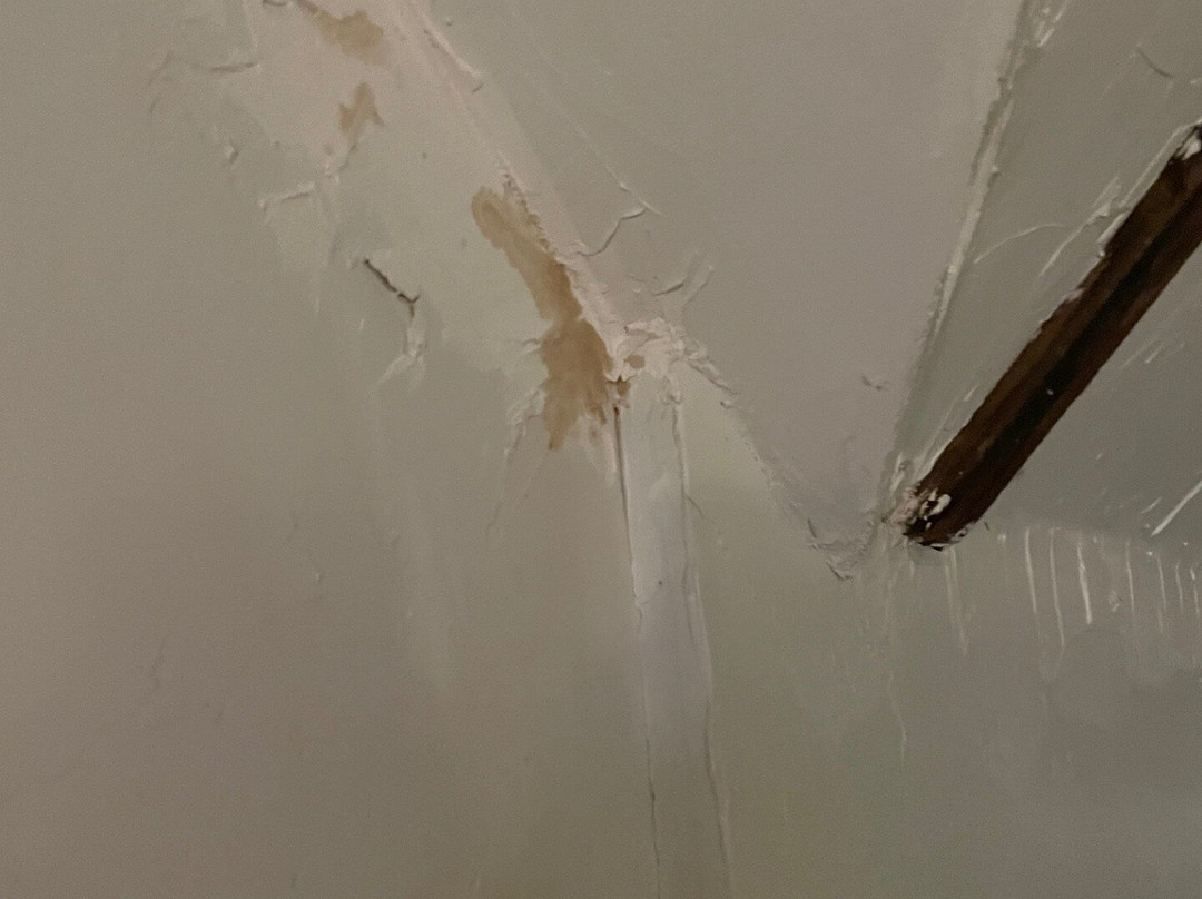 The Copper Swan主图