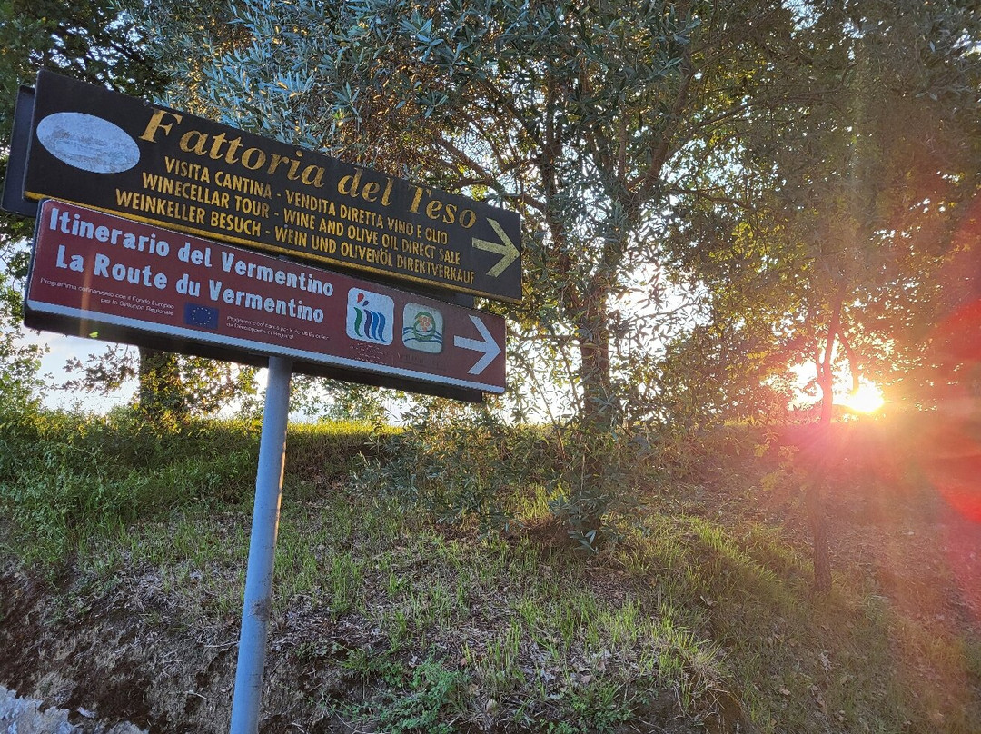Fattoria del Teso景点图片