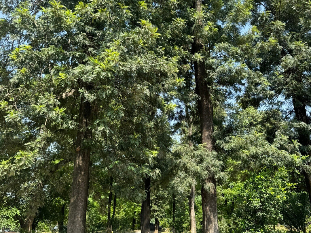 Rose and Jasmine Garden-伊斯兰堡必去景点