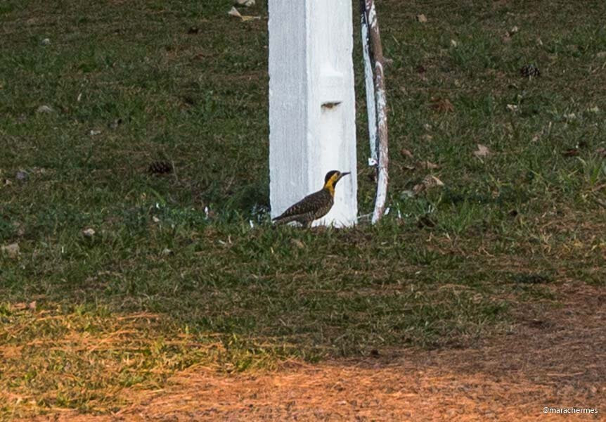 Pousada La Vierro主图