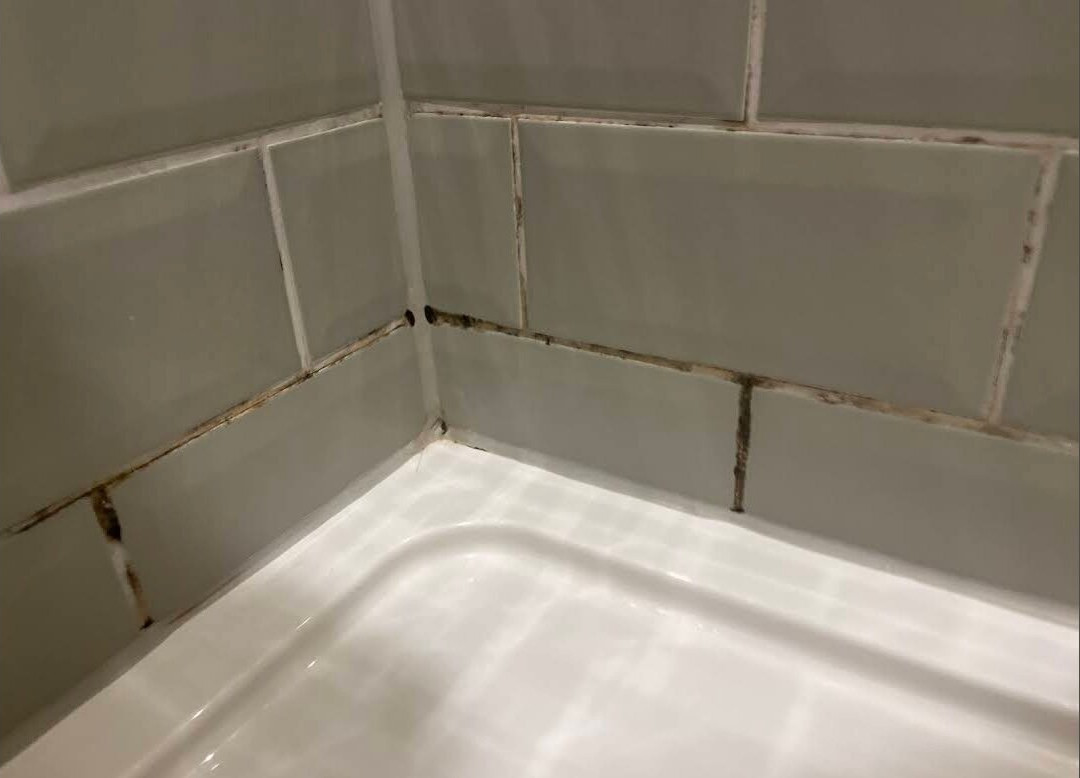 The Dorset Inn主图