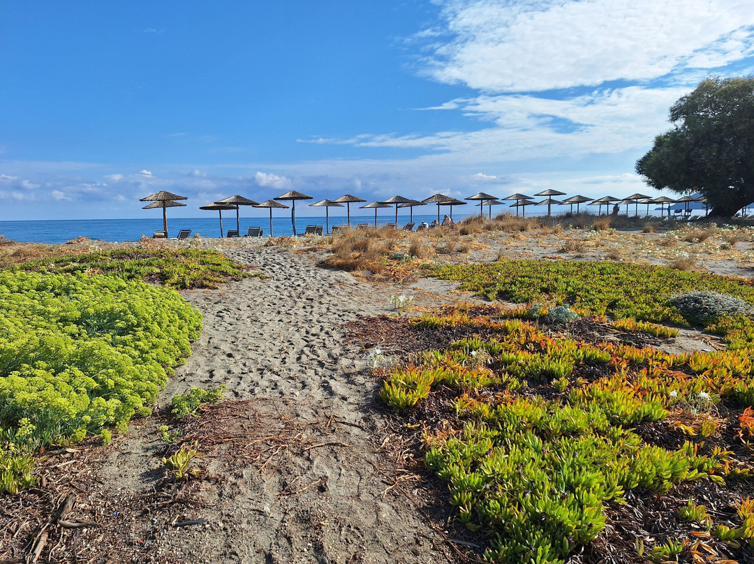 Gerani酒店住宿-Myrion Beach Resort & Spa