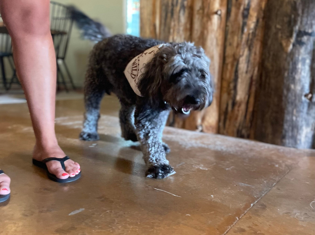 Posterity Ciderworks-Mokelumne Hill必去景点