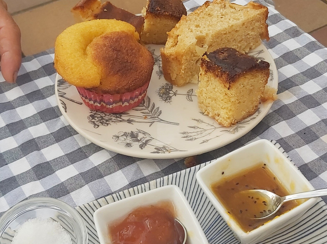 Villa Castellanos主图