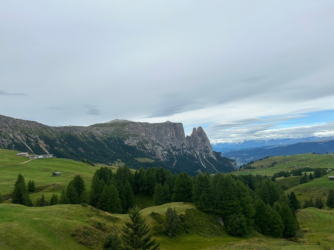 Alpe di Siusi景点图片