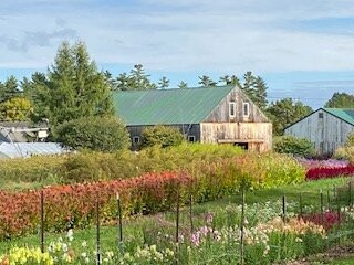 Broadturn Farm-斯卡伯勒必去景点