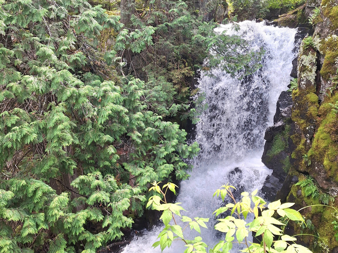 Border Lakes Tour Company-大马雷必去景点