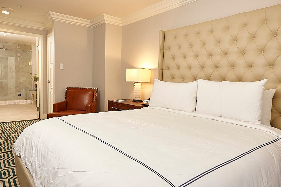 阿道弗斯酒店主图