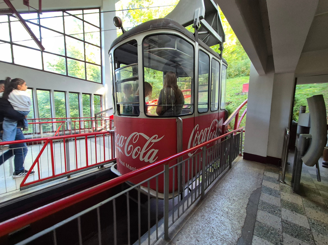 Tampa Cable Car景点图片
