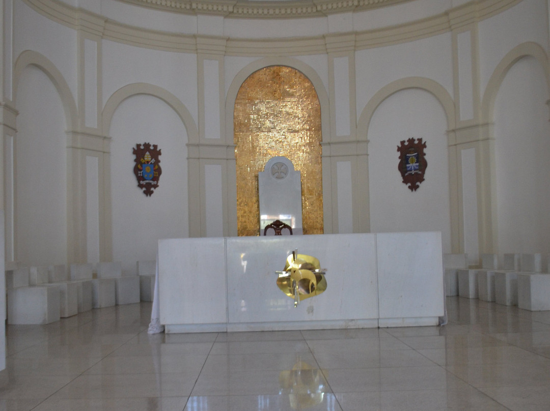 Catedral Metropolitana de Santo Antonio da Se景点图片