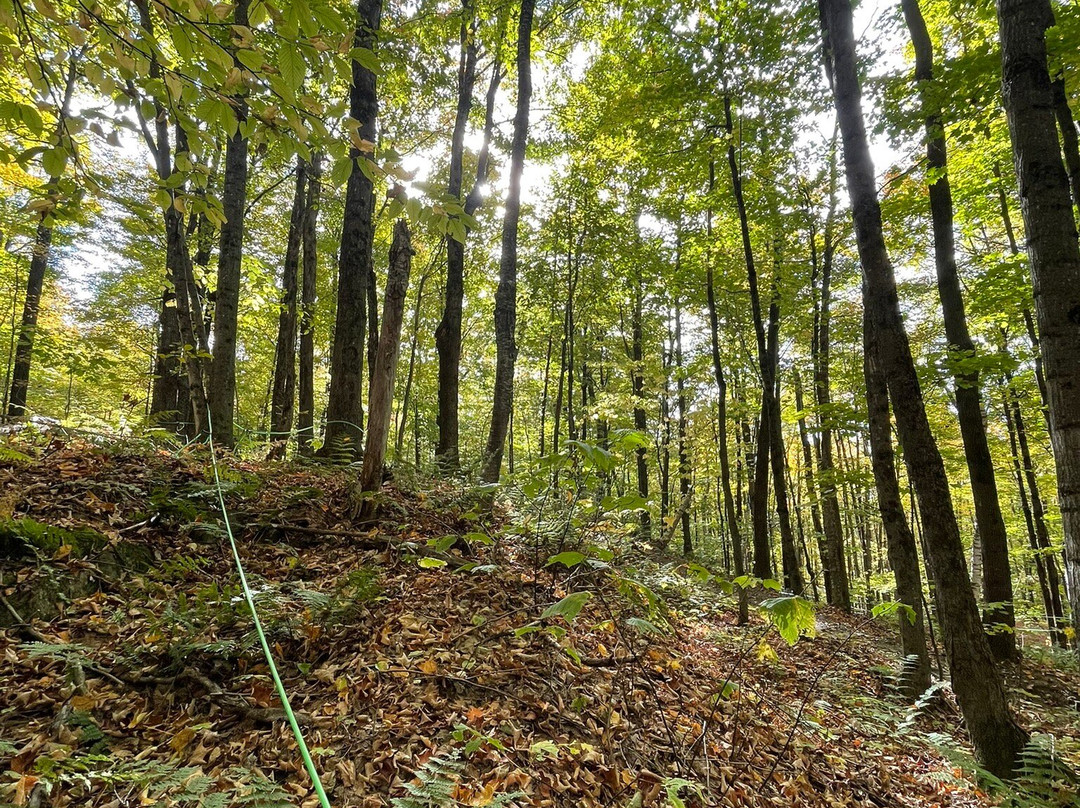 Parc du Mont Arthabaska-Victoriaville必去景点