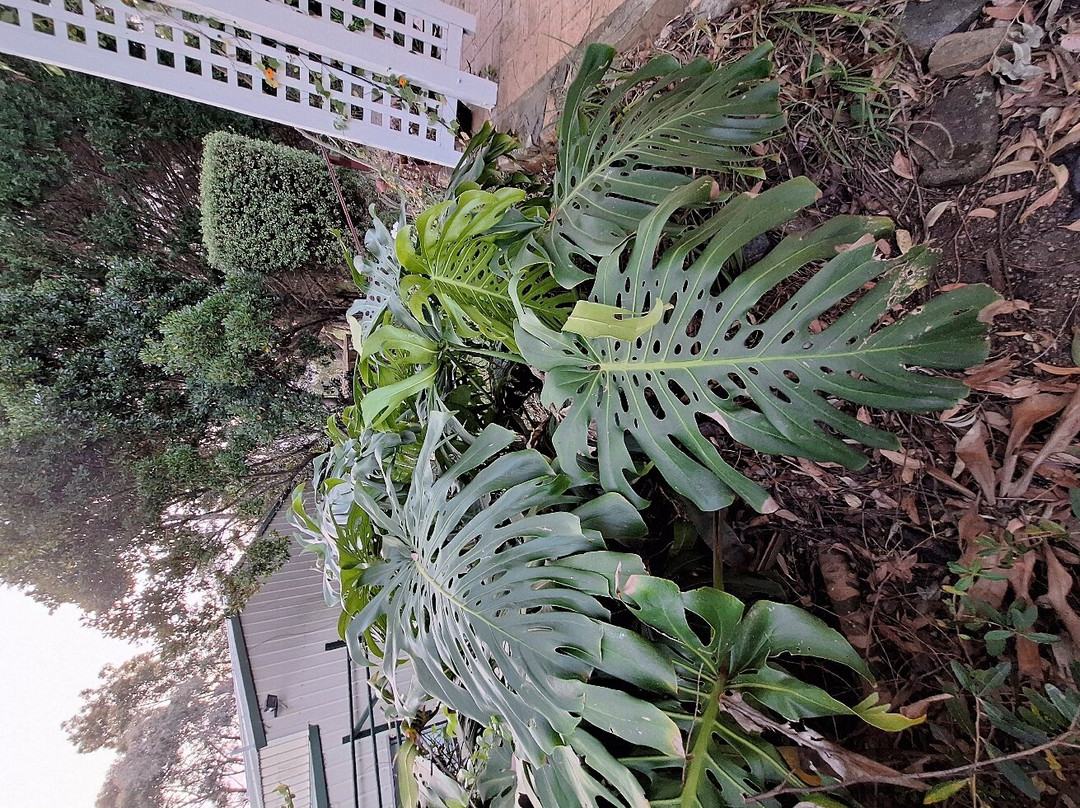 Tilba Lake House主图