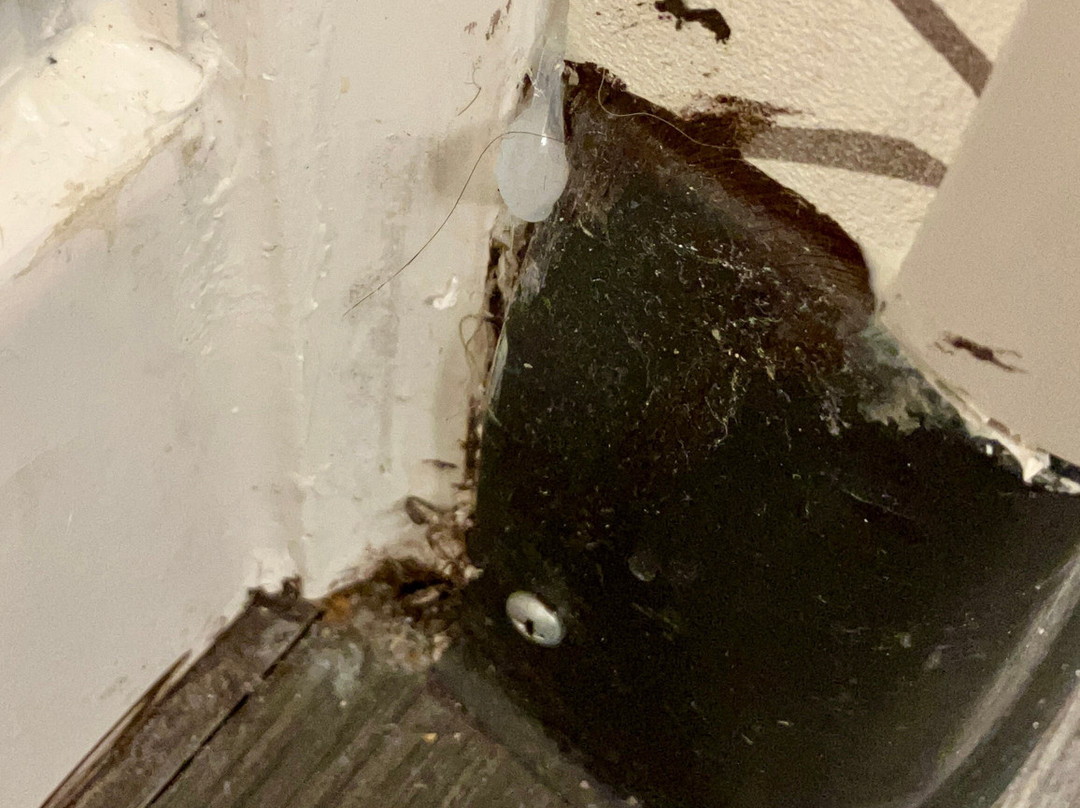 Holiday Inn Clarksville Northeast By IHG主图