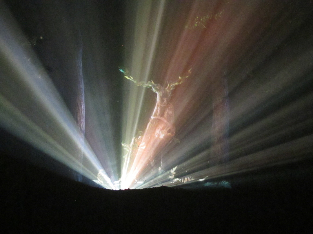 Aquavia Lumina景点图片