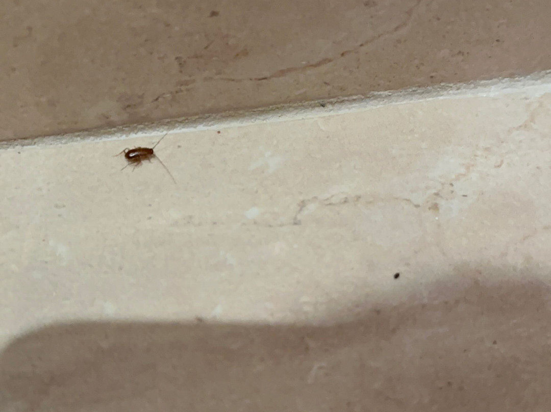 Anastasia Waterpark Beach Resort主图