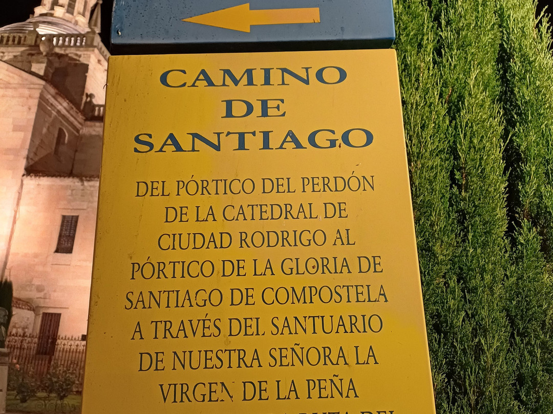 Catedral de Santa Maria景点图片