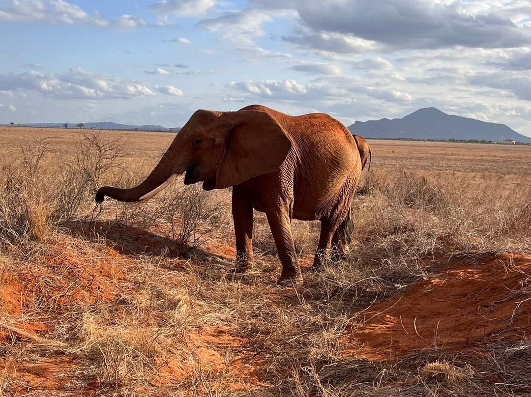 Muka Tours and Safaris-马林地必去景点