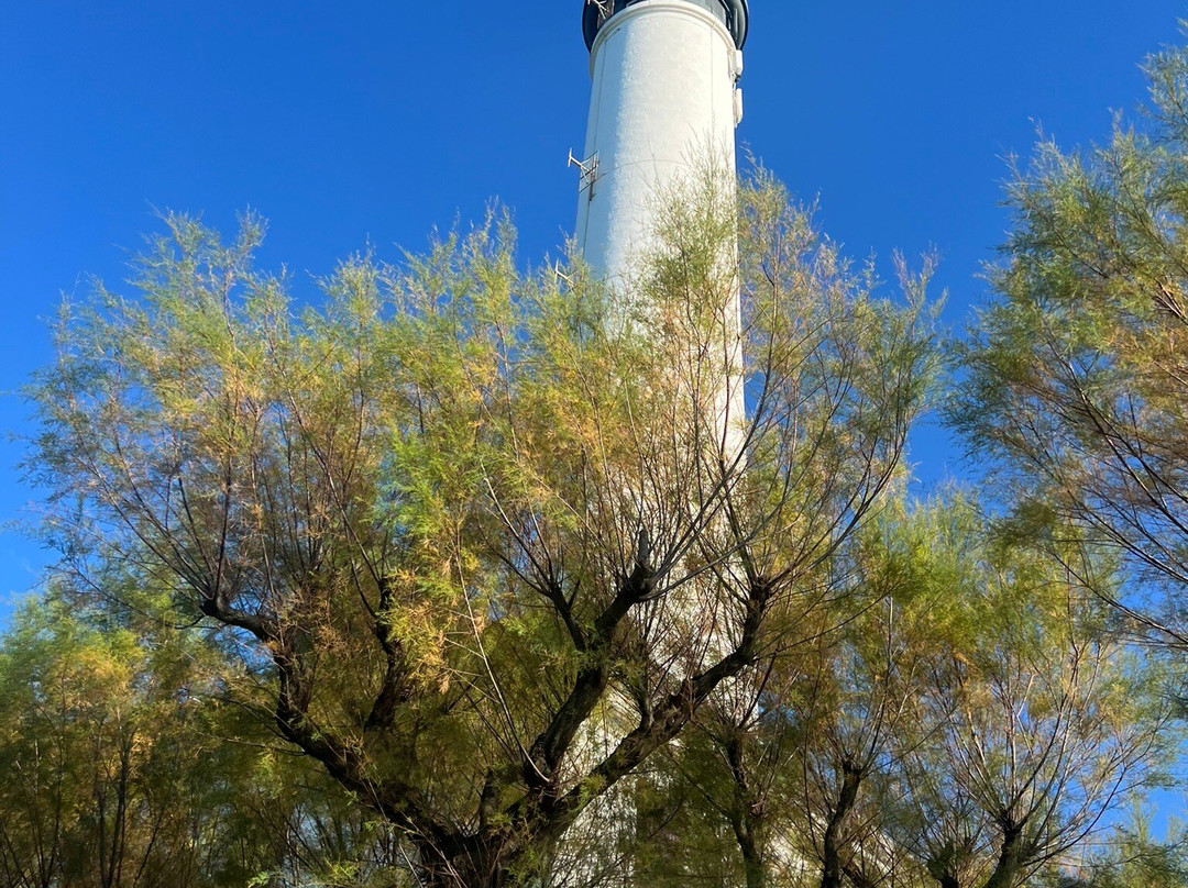 Phare de Biarritz景点图片