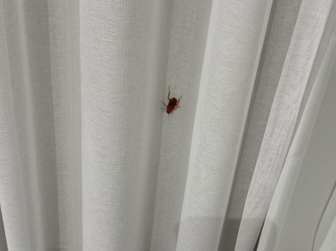 金沙滩宾馆主图