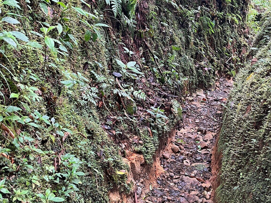 Full Adventures Boquete-波魁特必去景点