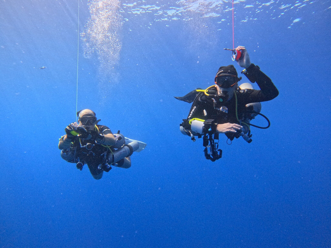 Viking Divers-拉纳加必去景点