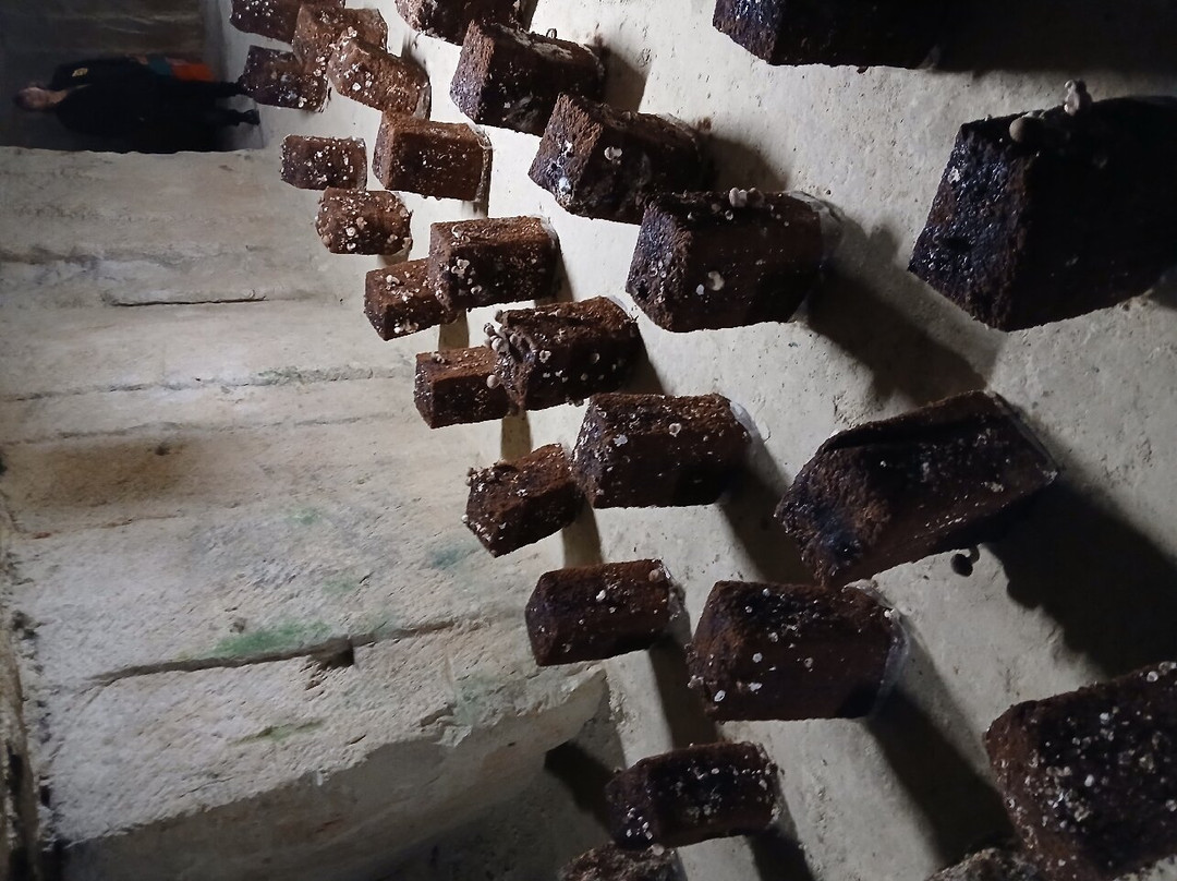 Les Caves Champignonnières Des Roches景点图片