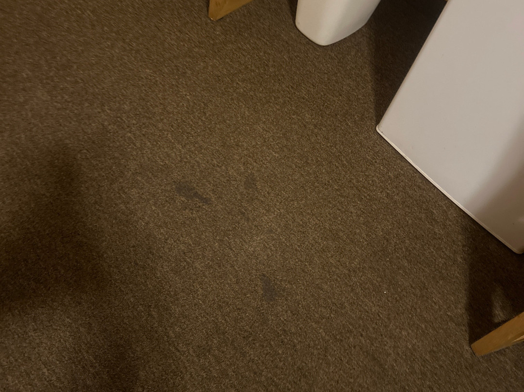 Travelodge Quesnel BC主图