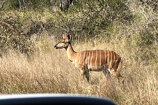 Thula Seats-白河必去景点