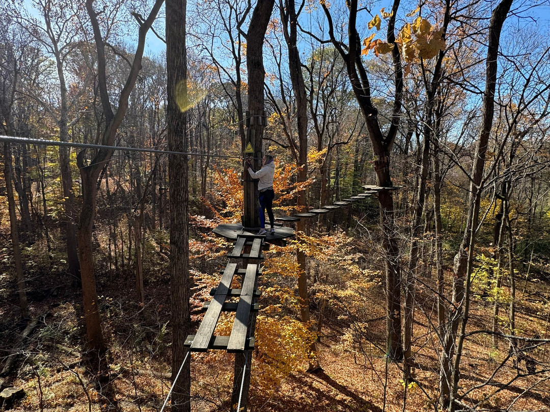 Go Ape Zipline & Adventure Park-印第安纳波利斯必去景点