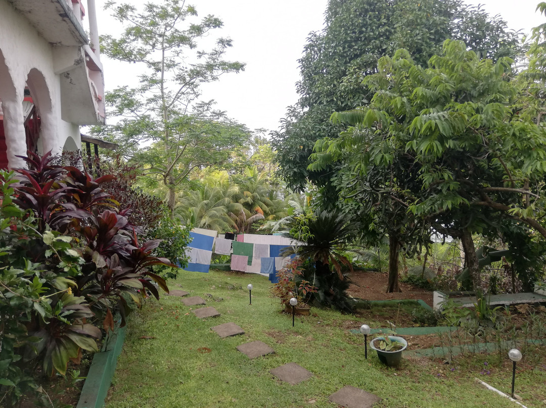 Drapers酒店住宿-Drapers San Guest House