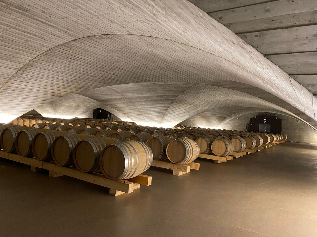 Azienda Agricola Vie di Romans景点图片