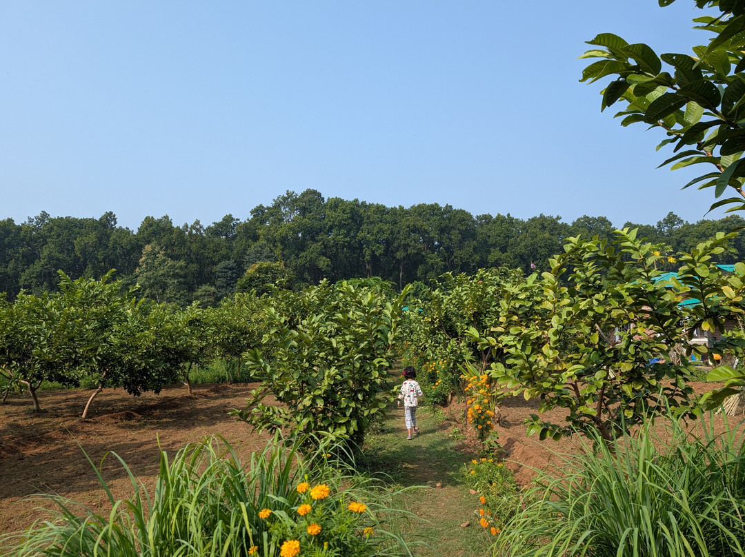 Forest Side Farm主图