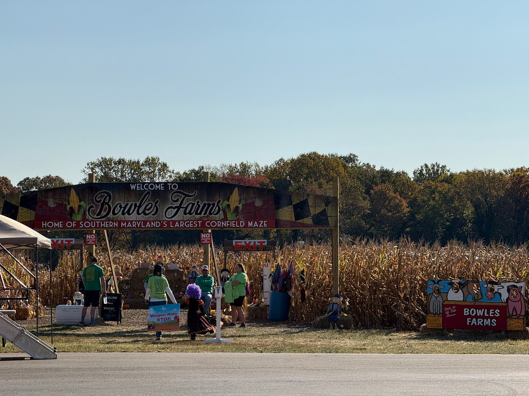 Bowles Farm Corn Maze-Clements必去景点