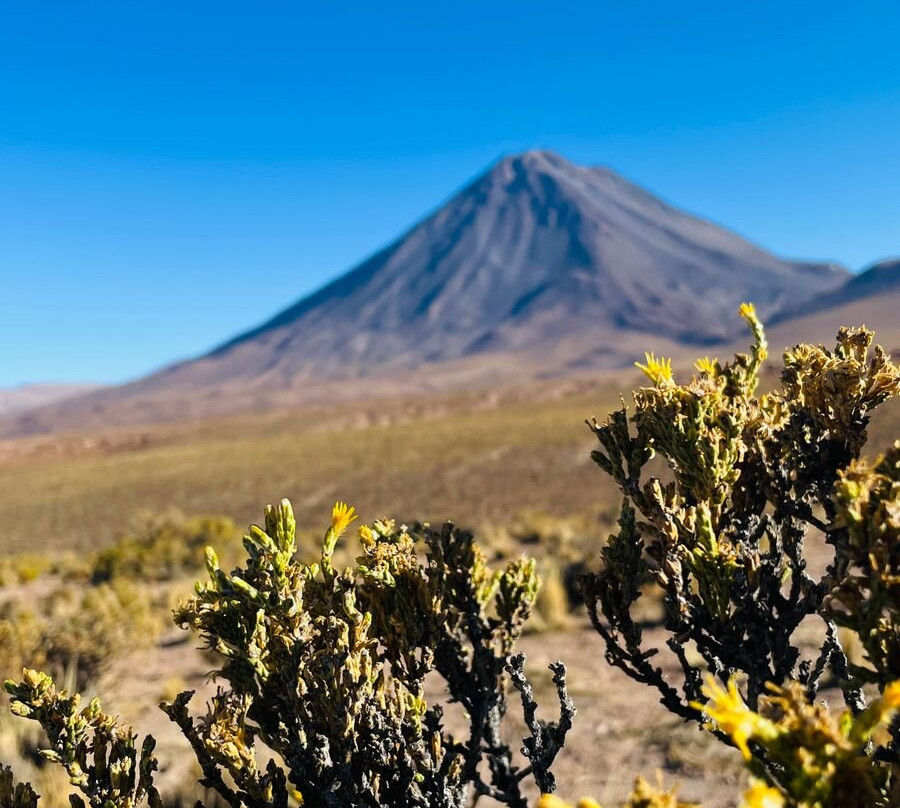Volcán Licancabur景点图片