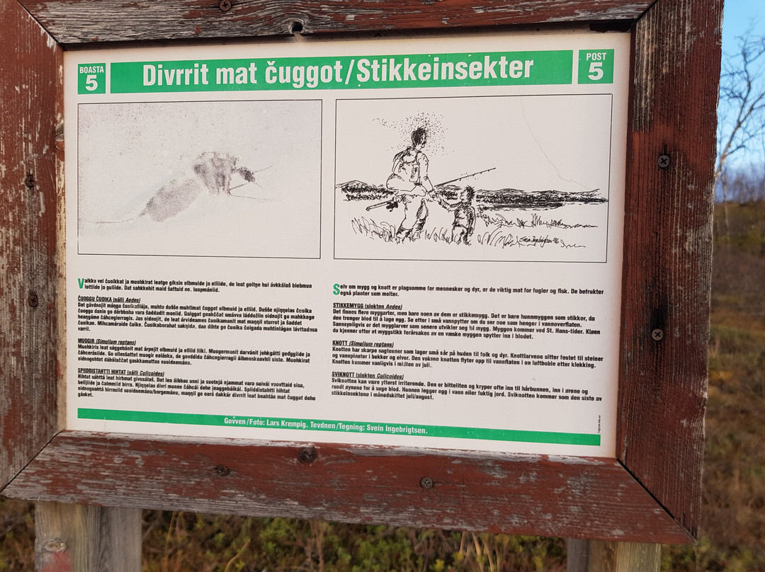 Kautokeino Natursti景点图片