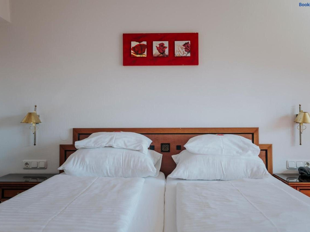 Hotel - Restaurant Friesacherhof主图