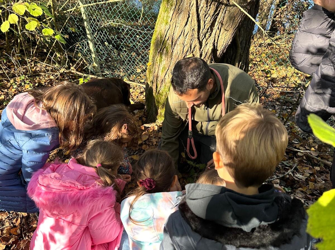 Scilla Truffle Hunting-Castelnuovo Don Bosco必去景点