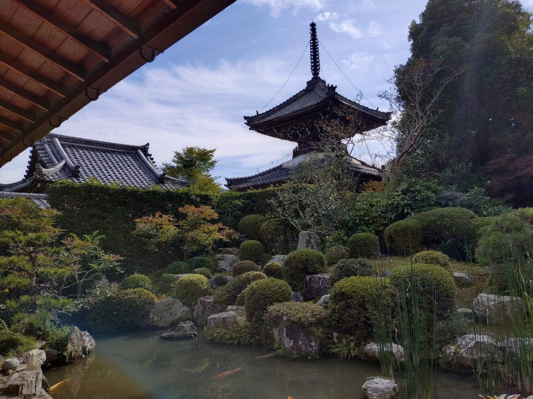 Anao-ji Temple-龟冈市必去景点