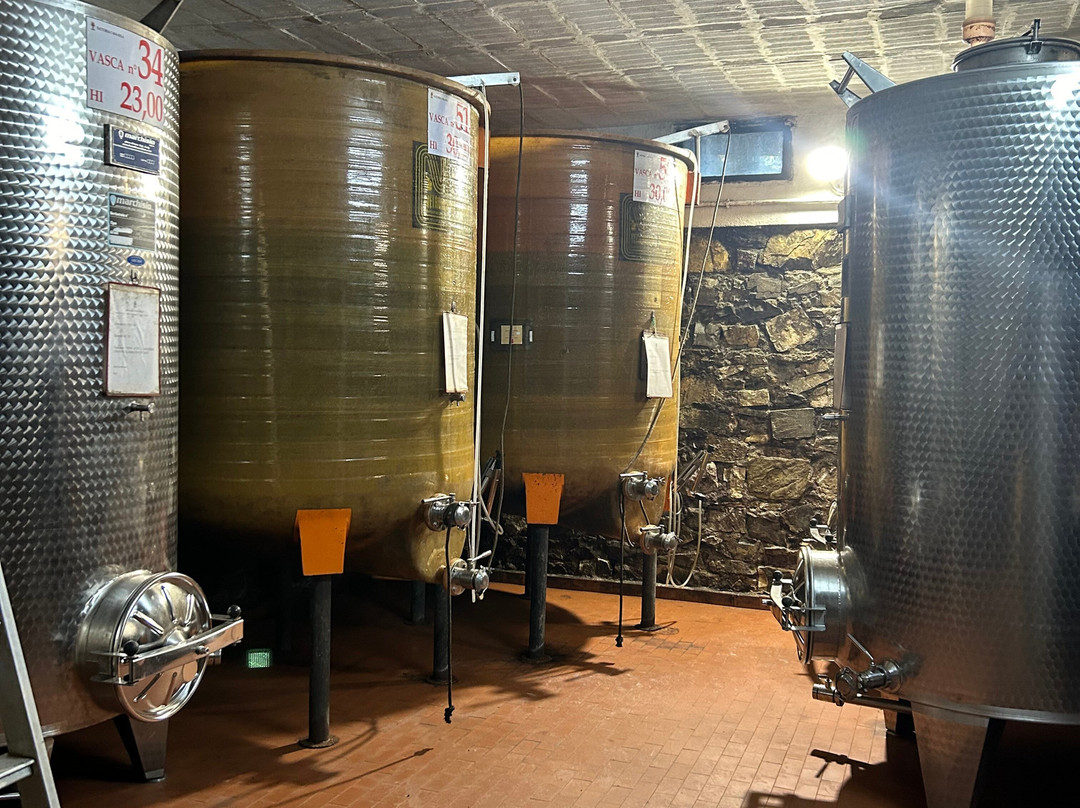 Casa Sola Chianti Winery景点图片