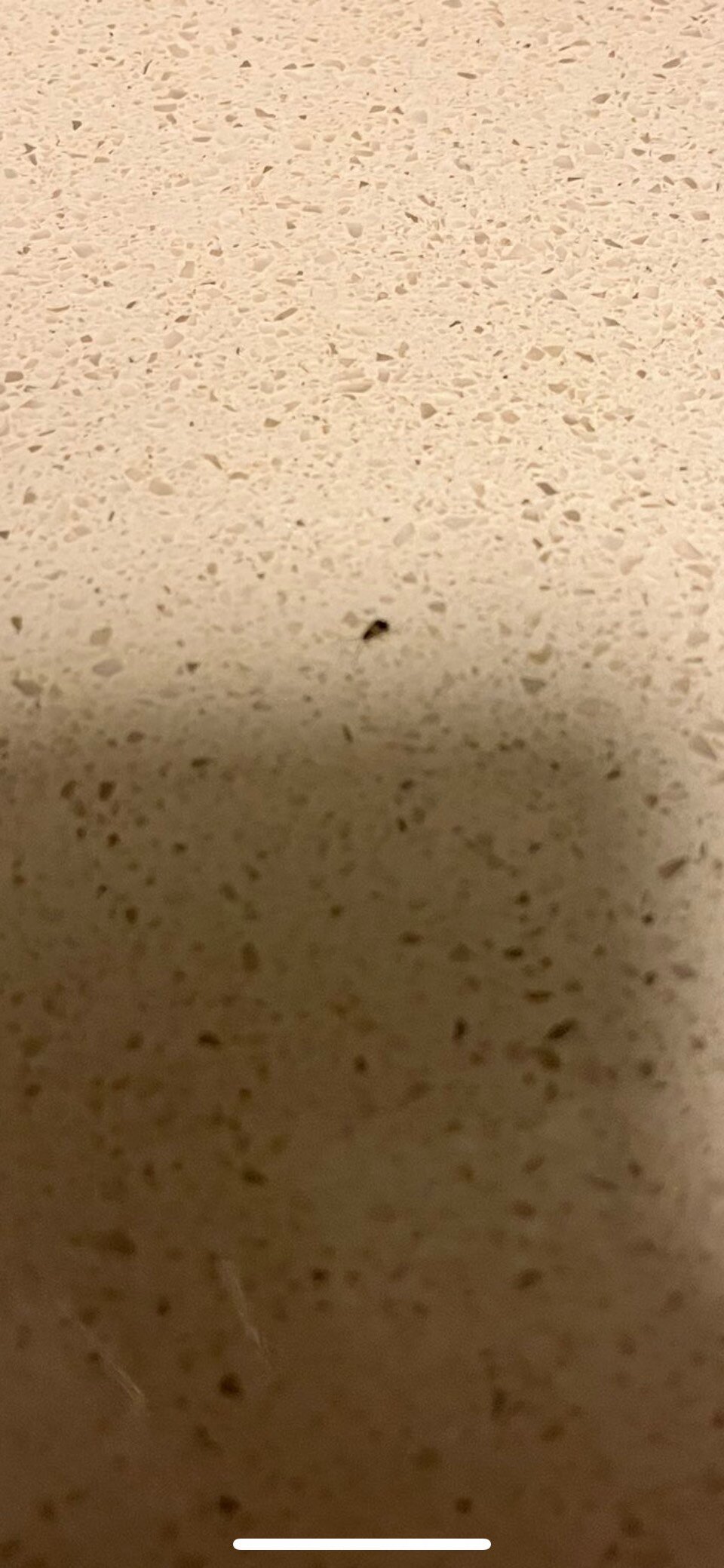 Staybridge Suites Corona South By IHG-客卧