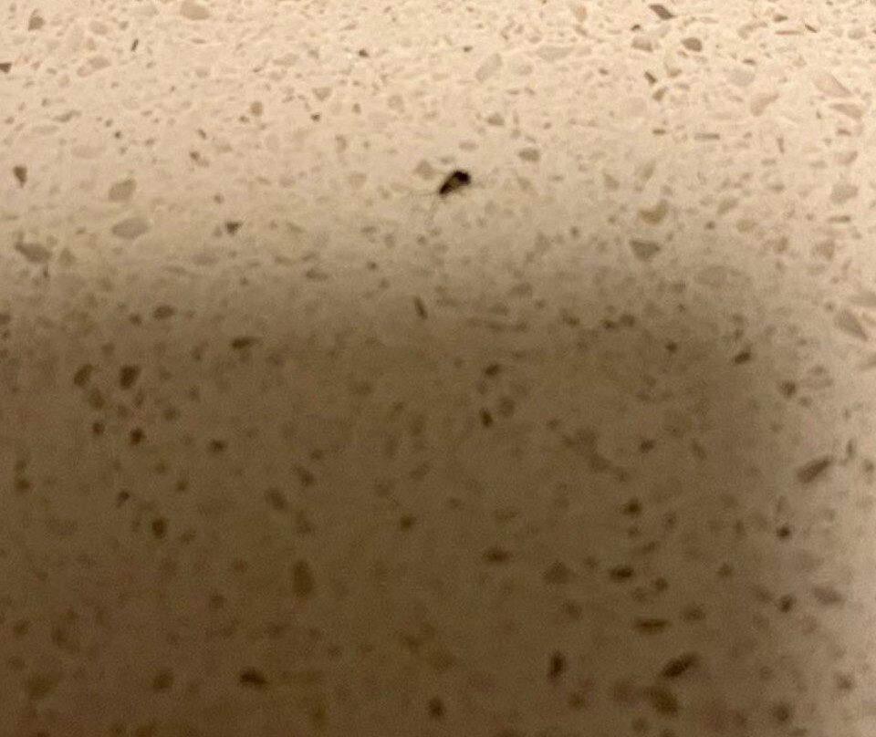 Staybridge Suites Corona South By IHG主图